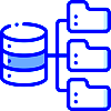 Database Entities